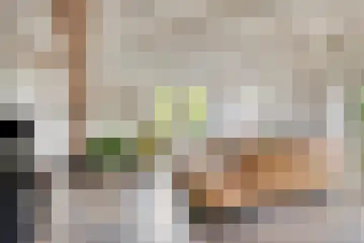 Achter den Ham 15 Dongen thumbnail 25