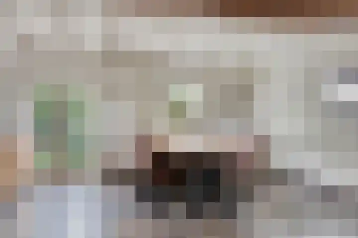Achter den Ham 15 Dongen thumbnail 27