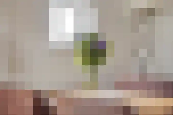 Achter den Ham 15 Dongen thumbnail 28