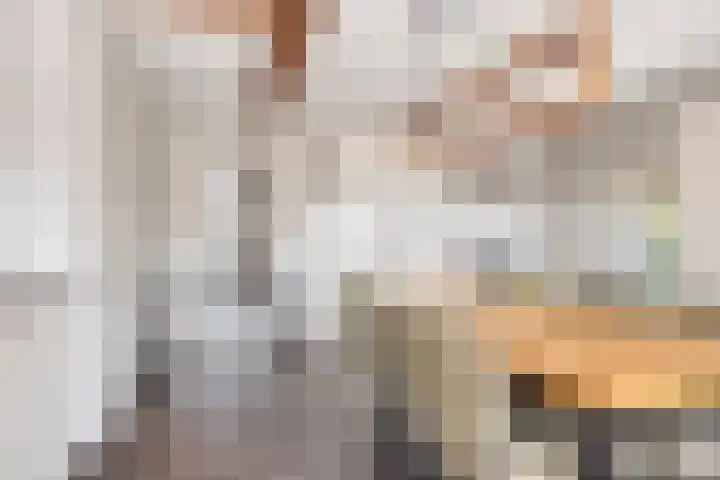 Achter den Ham 15 Dongen foto 3