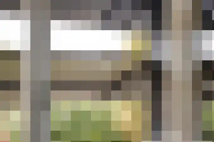 Achter den Ham 15 Dongen thumbnail 31
