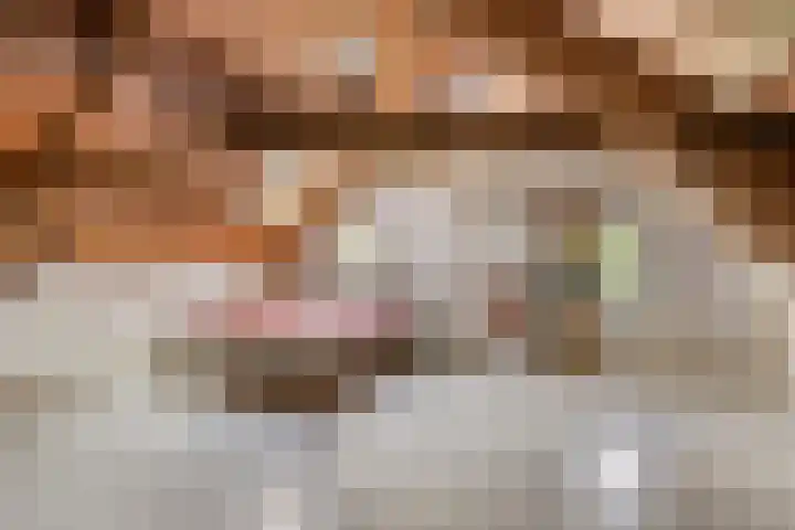 Achter den Ham 15 Dongen thumbnail 34