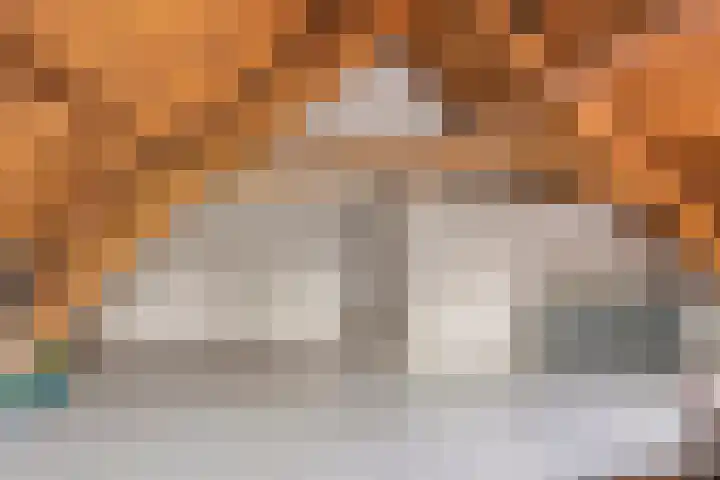 Achter den Ham 15 Dongen thumbnail 35