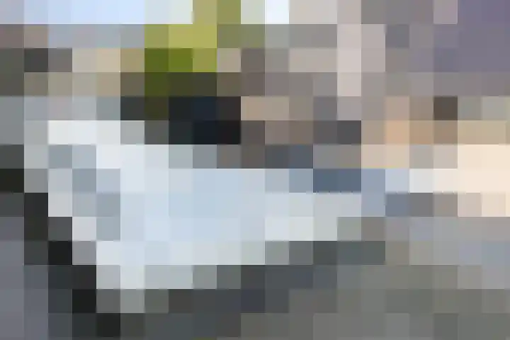 Achter den Ham 15 Dongen thumbnail 38