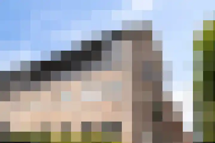 Achter den Ham 15 Dongen thumbnail 39