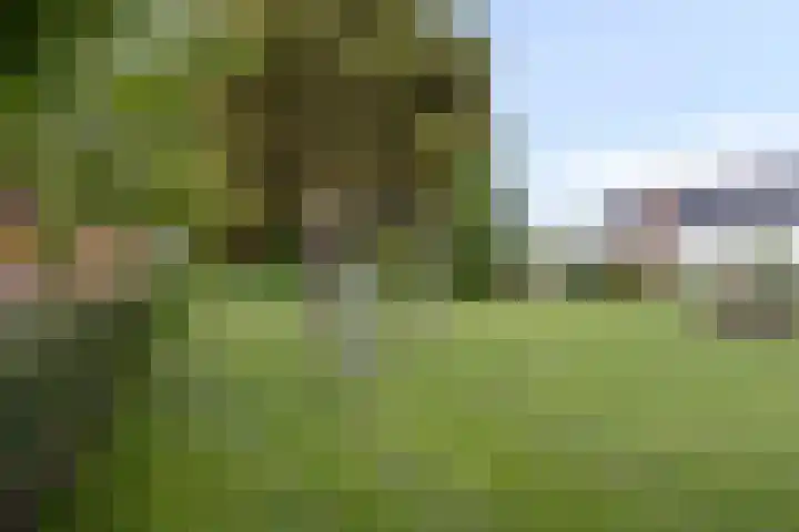 Achter den Ham 15 Dongen thumbnail 42