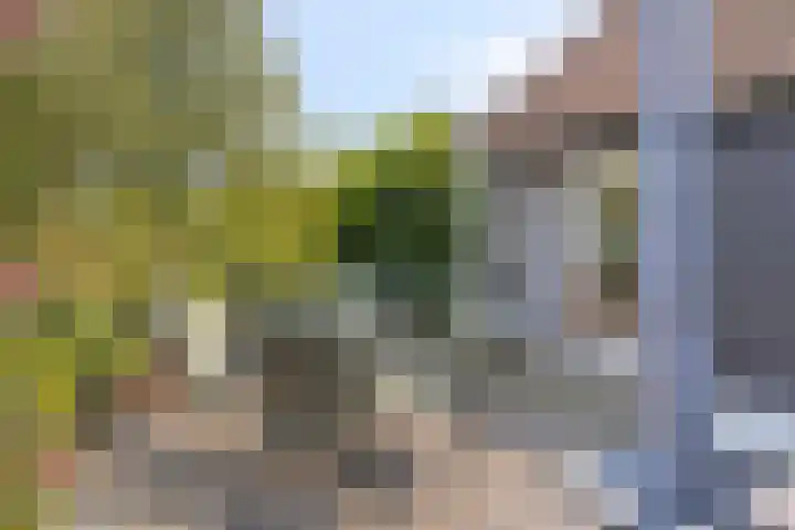 Achter den Ham 15 Dongen thumbnail 6