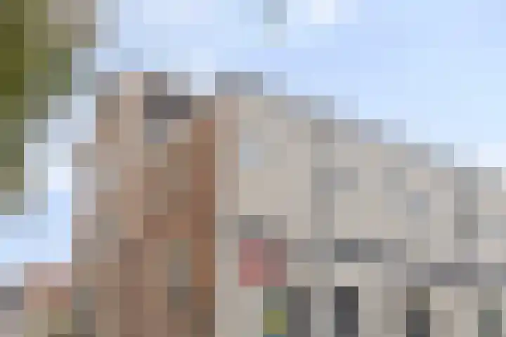 Achter den Ham 15 Dongen thumbnail 9