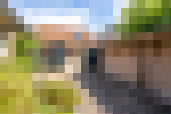 Achter het Arsenaal 18 Nieuwpoort thumbnail 29