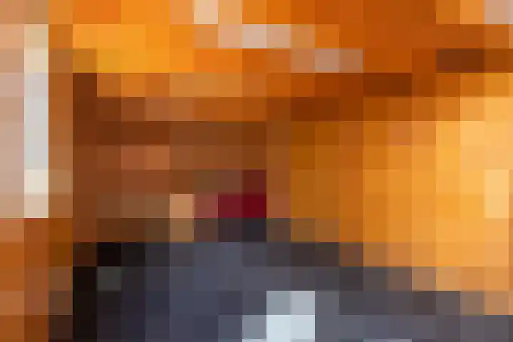 Achter het Arsenaal 18 Nieuwpoort thumbnail 32