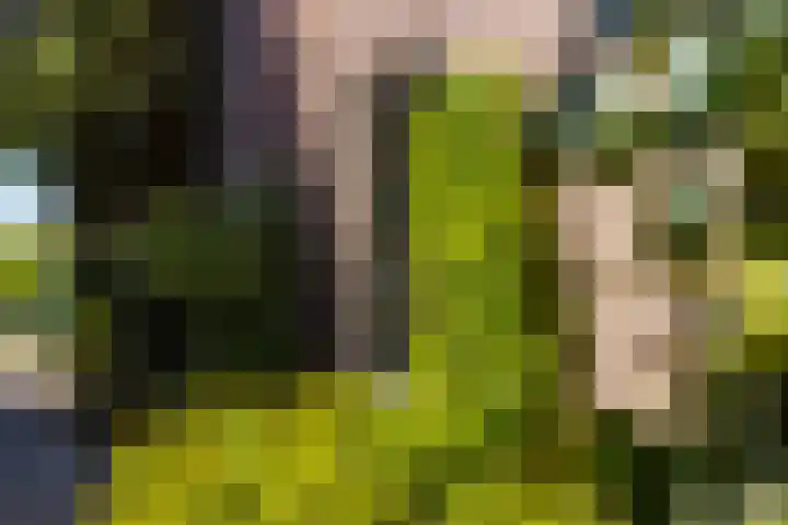 Achter het Arsenaal 18 Nieuwpoort thumbnail 34