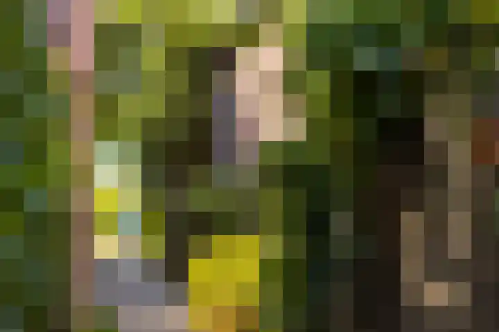 Achter het Arsenaal 18 Nieuwpoort thumbnail 35