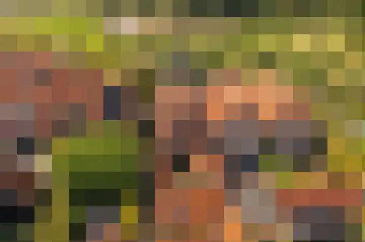 Achter het Arsenaal 18 Nieuwpoort thumbnail 36