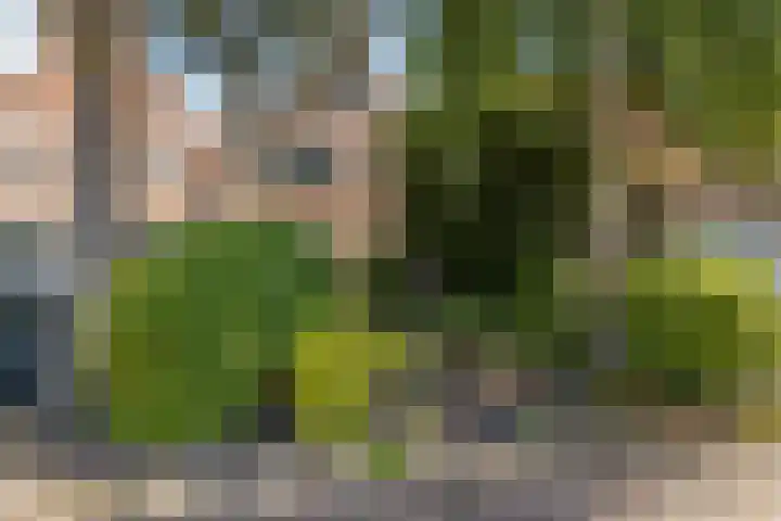 Achter het Arsenaal 18 Nieuwpoort thumbnail 38