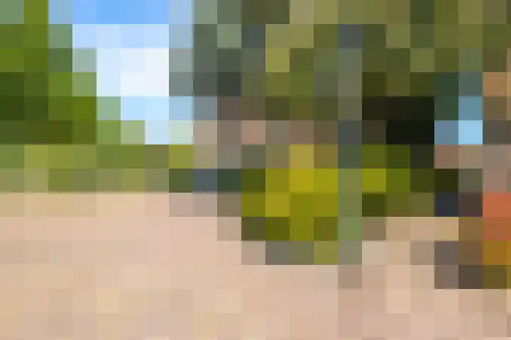 Achter het Arsenaal 18 Nieuwpoort thumbnail 39