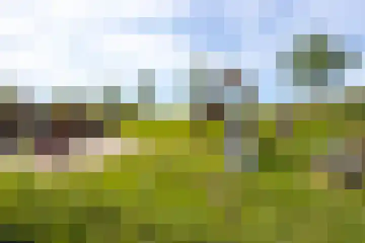 Achter het Arsenaal 18 Nieuwpoort thumbnail 40