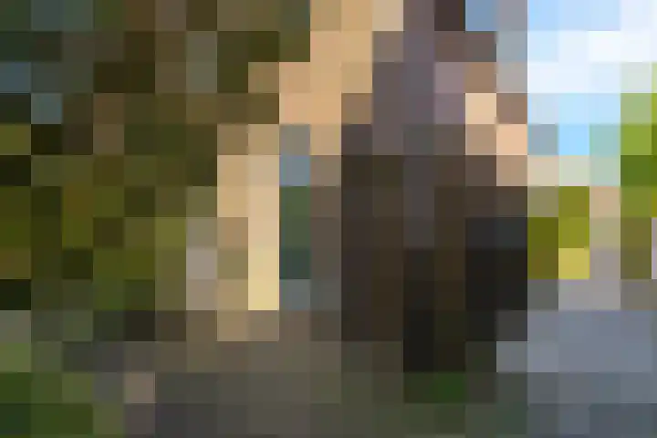 Achter het Arsenaal 18 Nieuwpoort thumbnail 5
