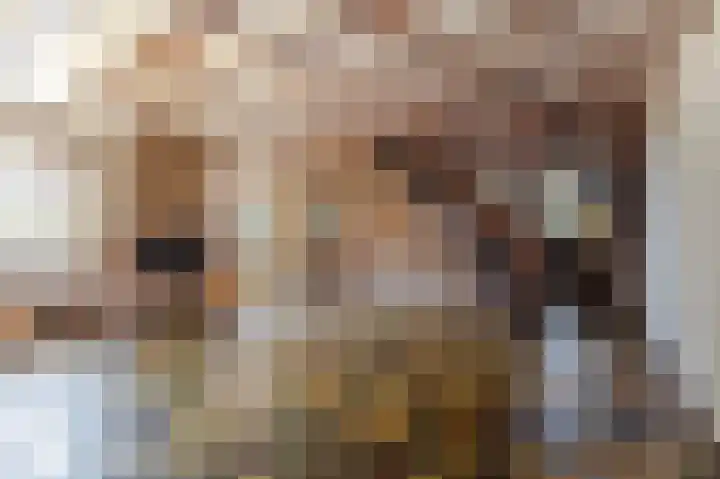 Achter het Arsenaal 18 Nieuwpoort thumbnail 9