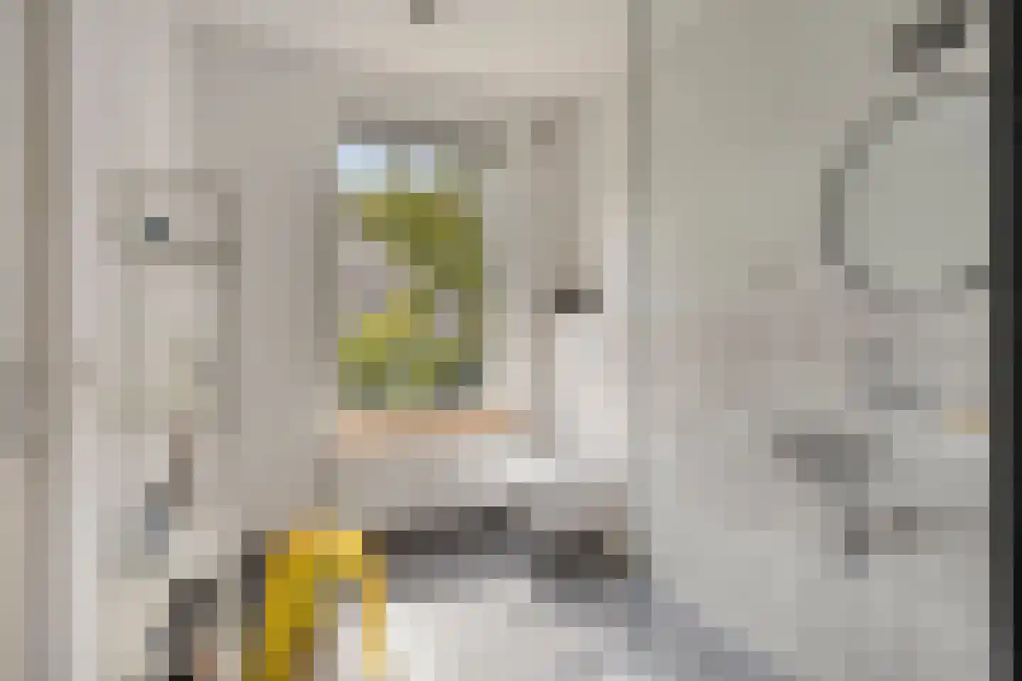 Achter het Azijntonnetje 1 's-Hertogenbosch thumbnail 10
