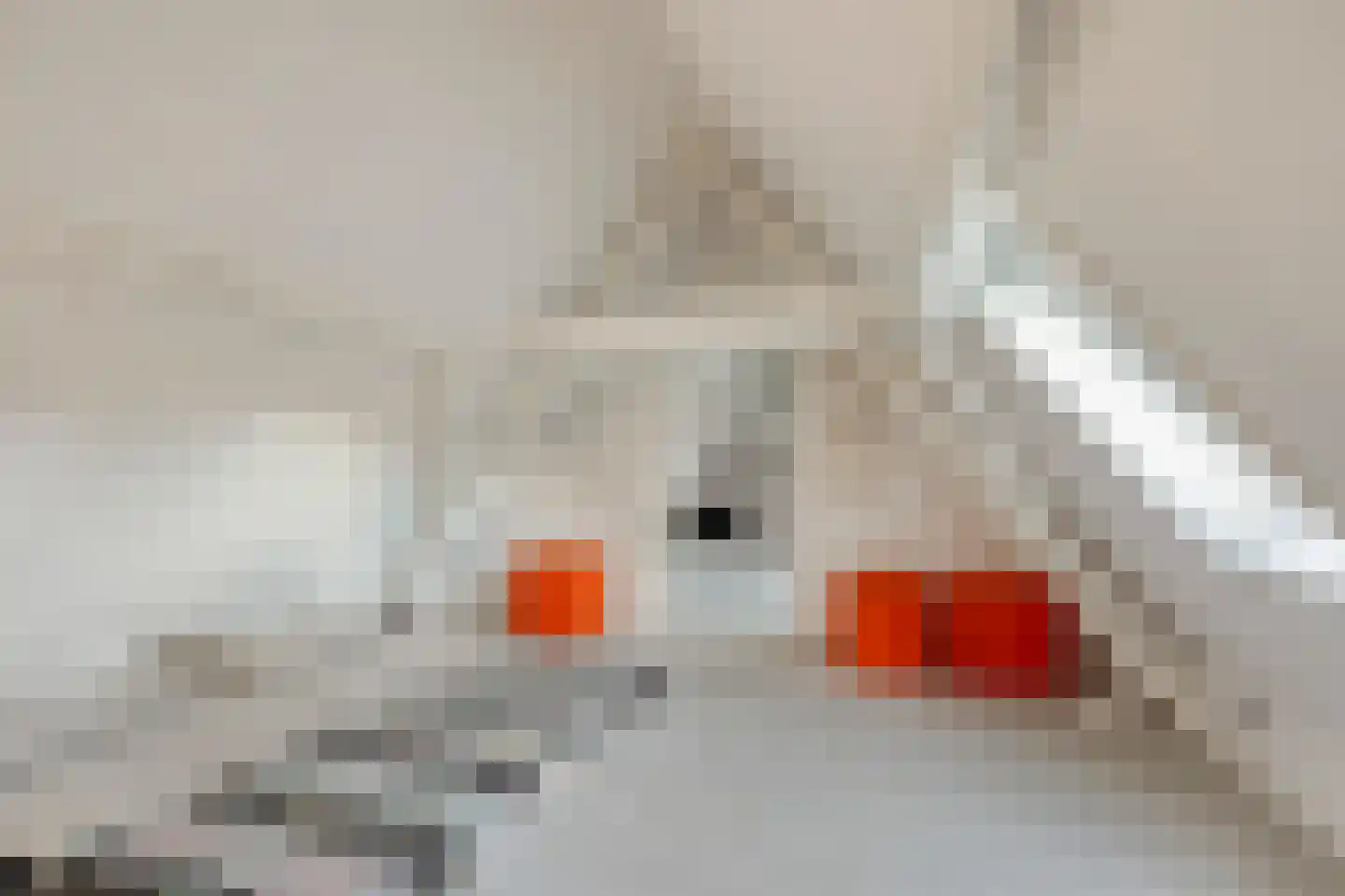 Achter het Azijntonnetje 1 's-Hertogenbosch thumbnail 12