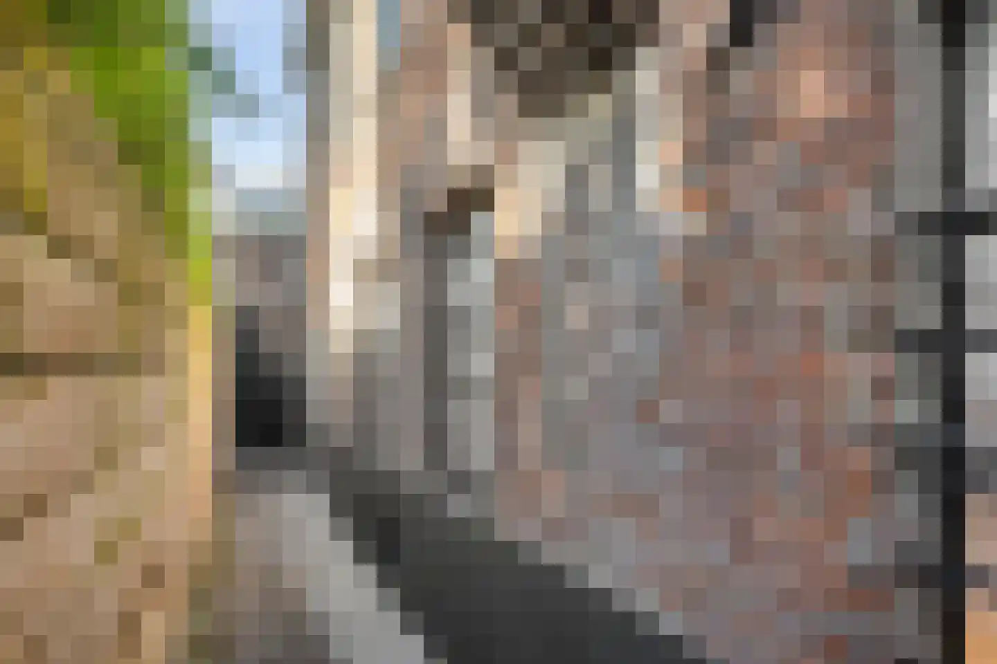 Achter het Azijntonnetje 1 's-Hertogenbosch thumbnail 16