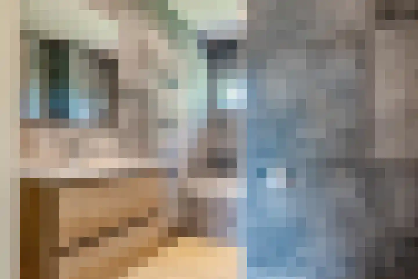 Achter het Kanaal 25 Emmen thumbnail 24