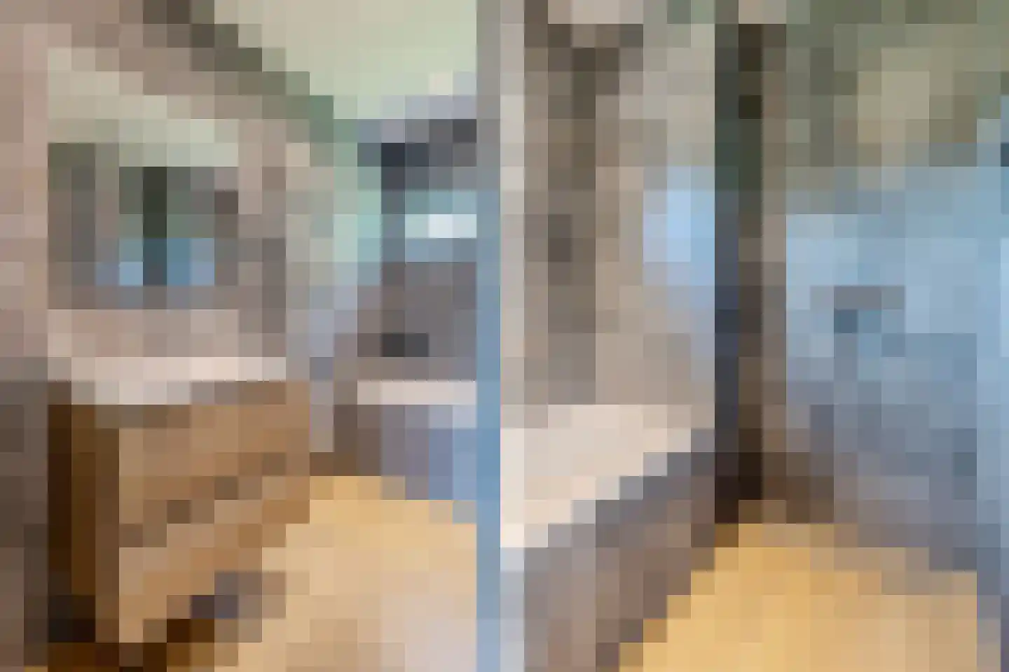 Achter het Kanaal 25 Emmen thumbnail 25