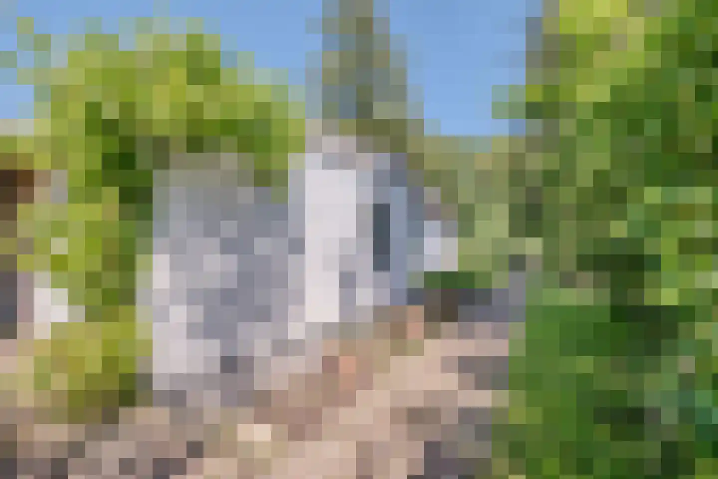 Achter het Kanaal 25 Emmen thumbnail 5