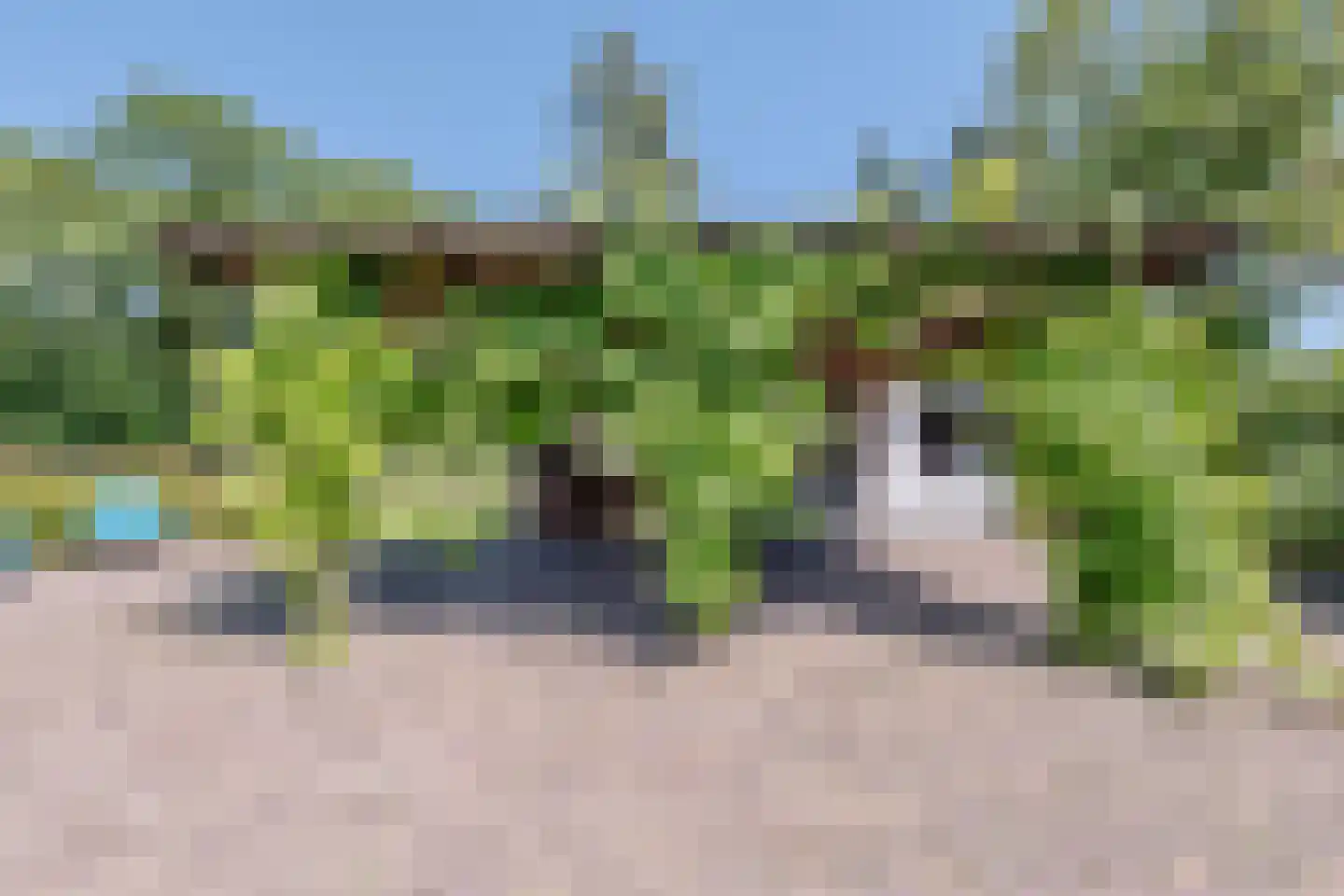 Achter het Kanaal 25 Emmen thumbnail 52