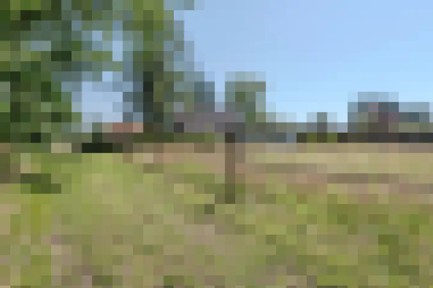 Achter het Kanaal 25 Emmen thumbnail 54