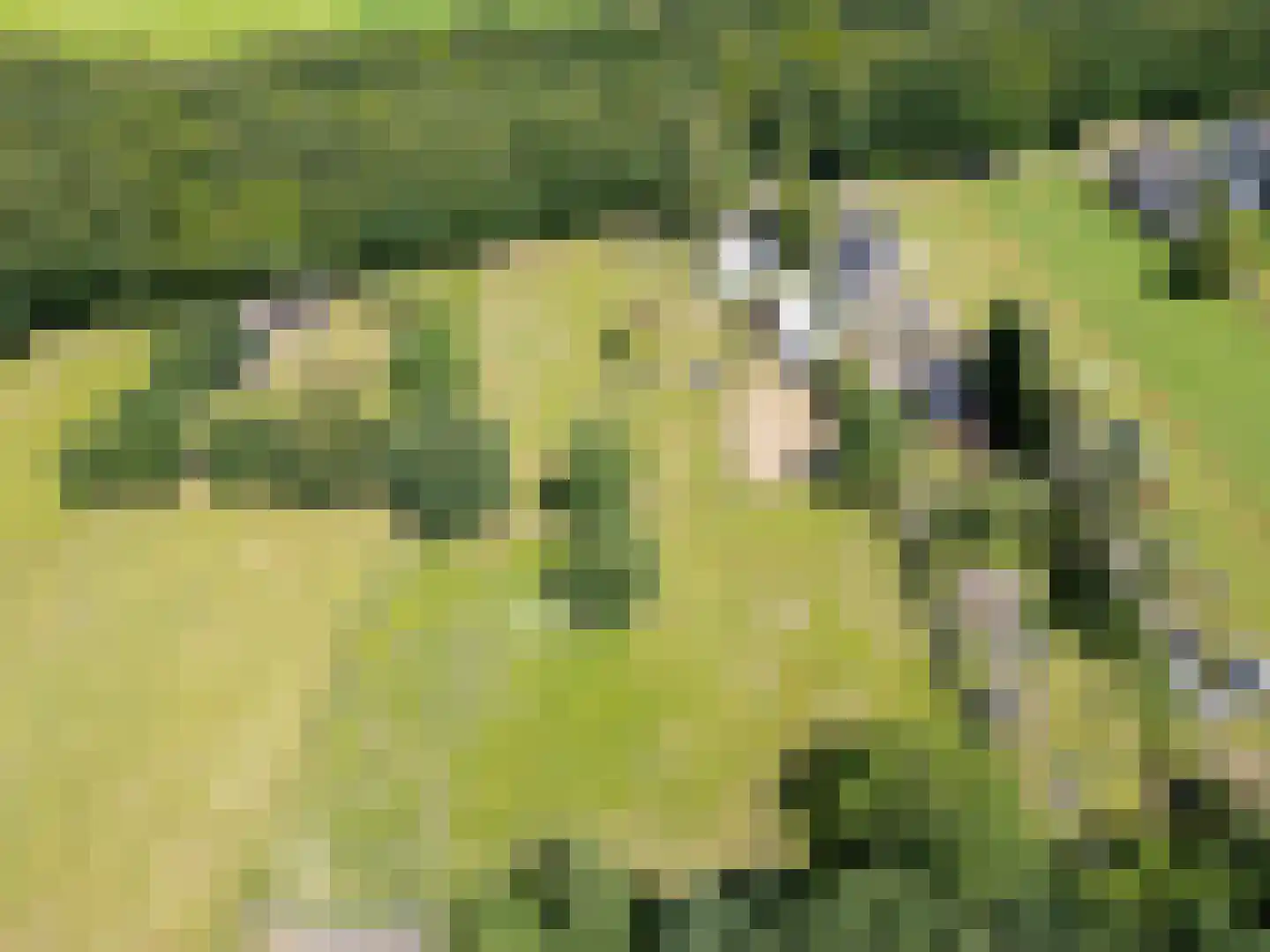 Achter het Kanaal 25 Emmen thumbnail 56