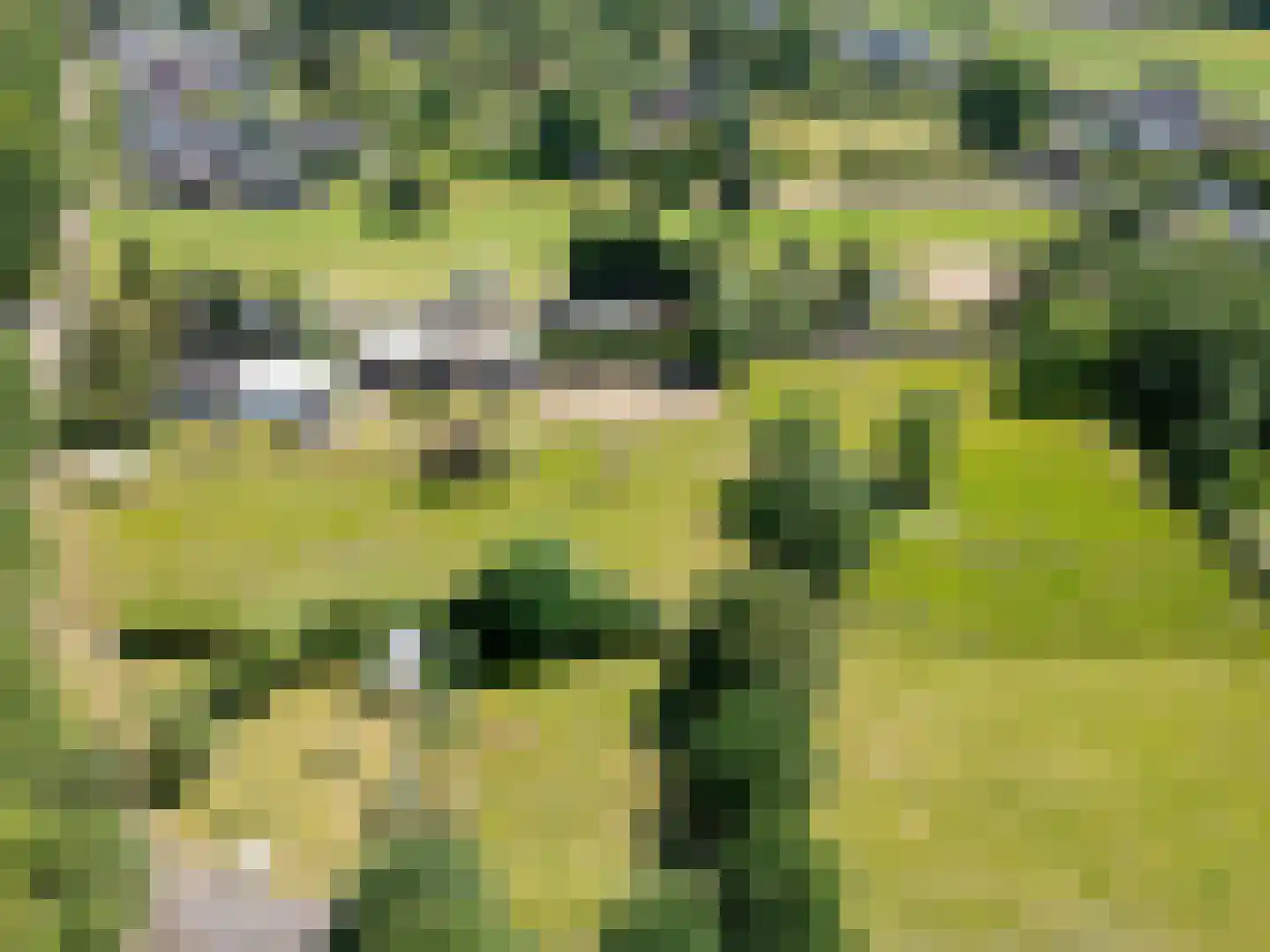 Achter het Kanaal 25 Emmen thumbnail 57