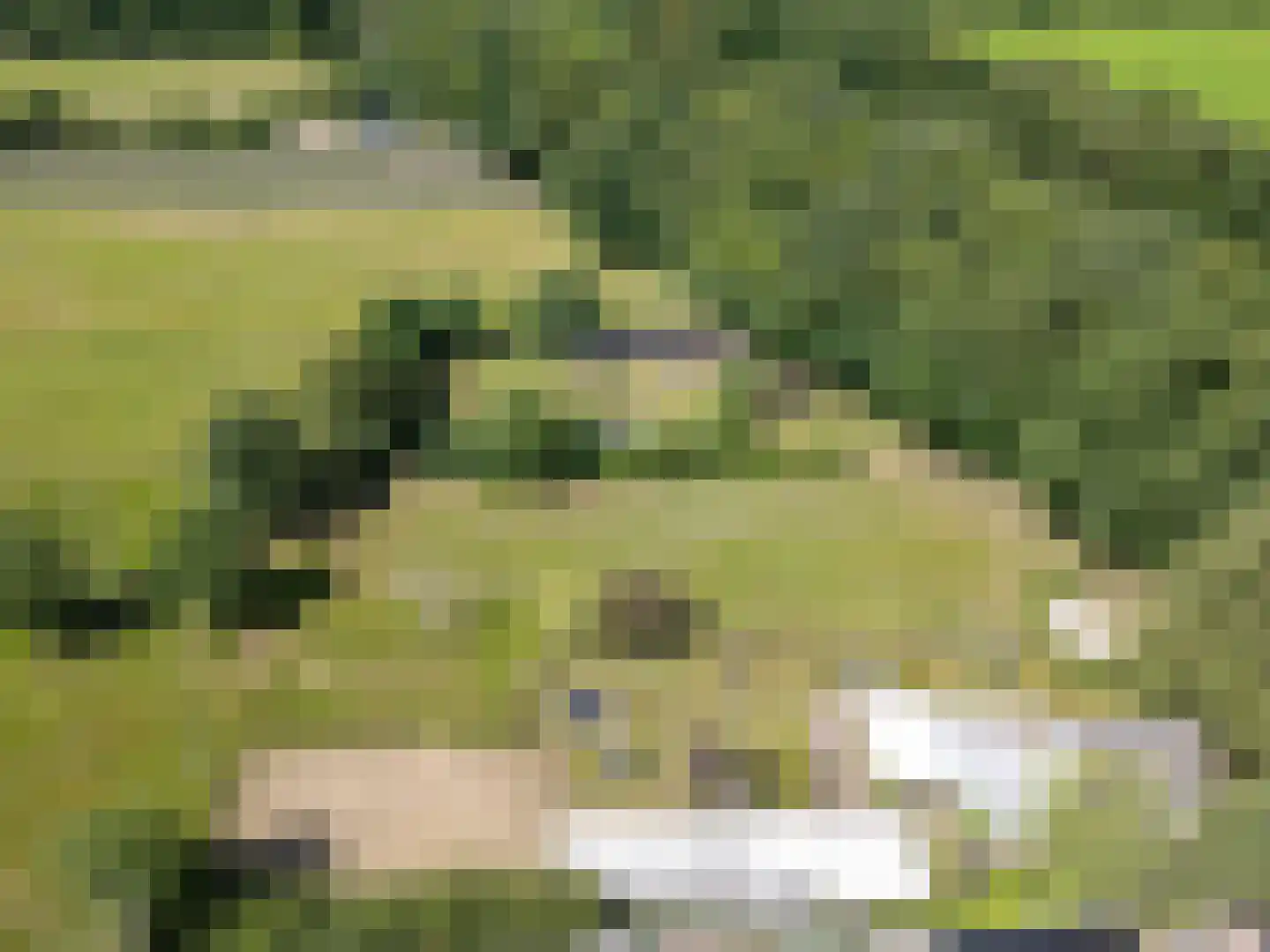 Achter het Kanaal 25 Emmen thumbnail 58