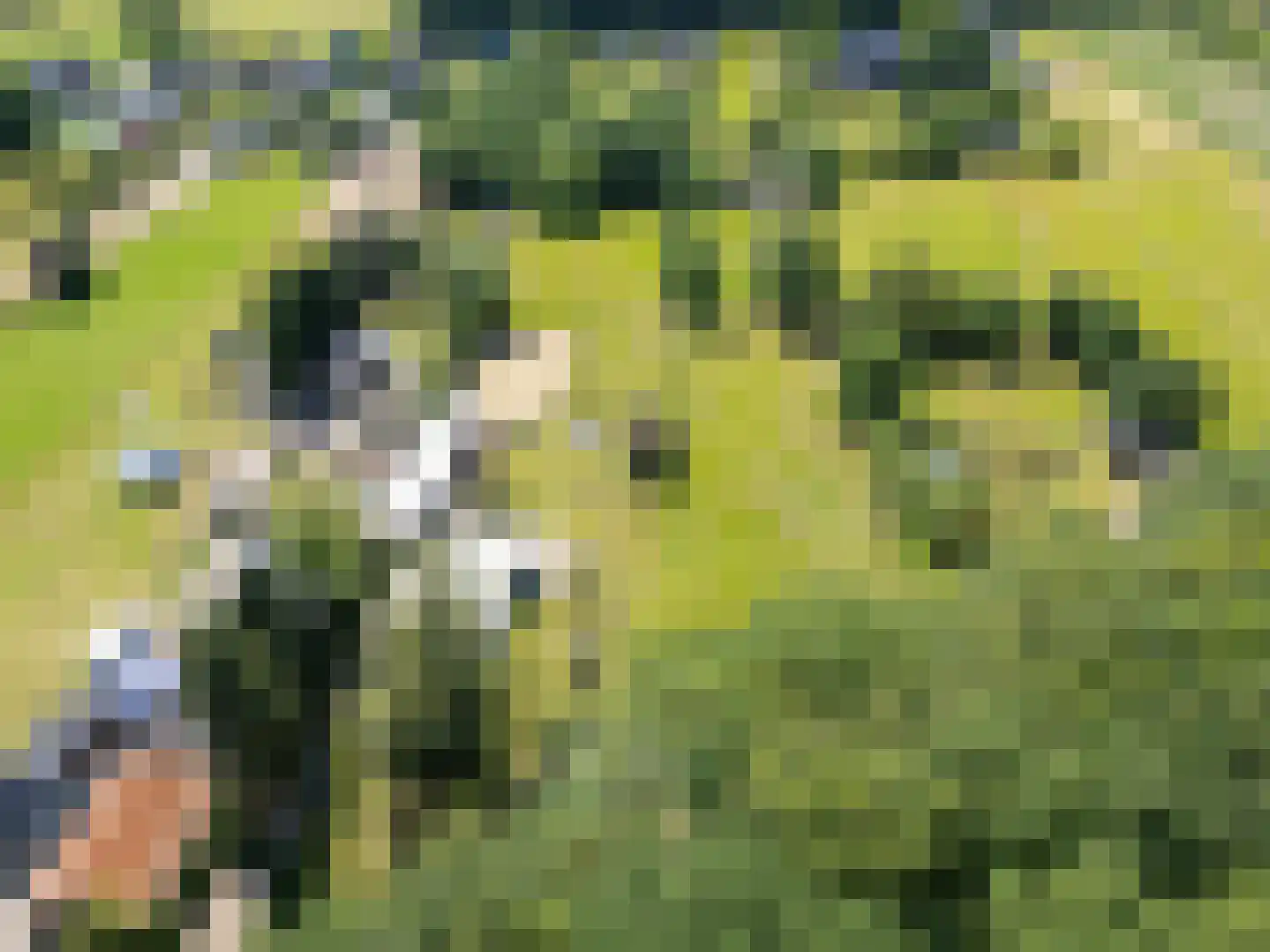 Achter het Kanaal 25 Emmen thumbnail 59