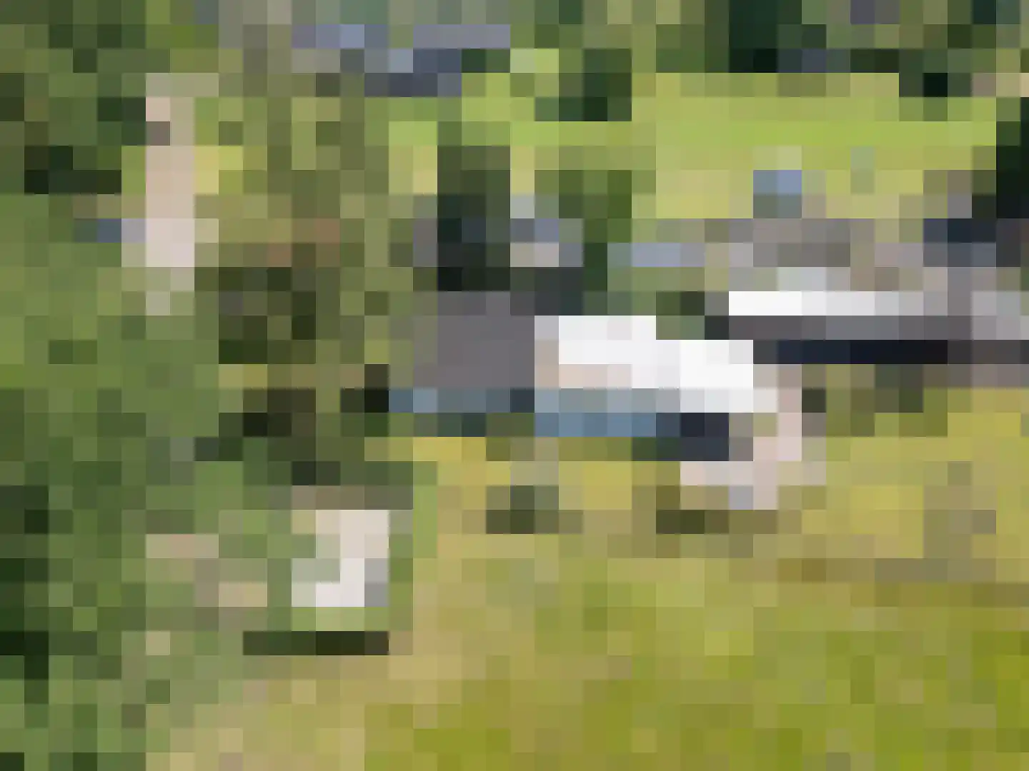 Achter het Kanaal 25 Emmen thumbnail 60