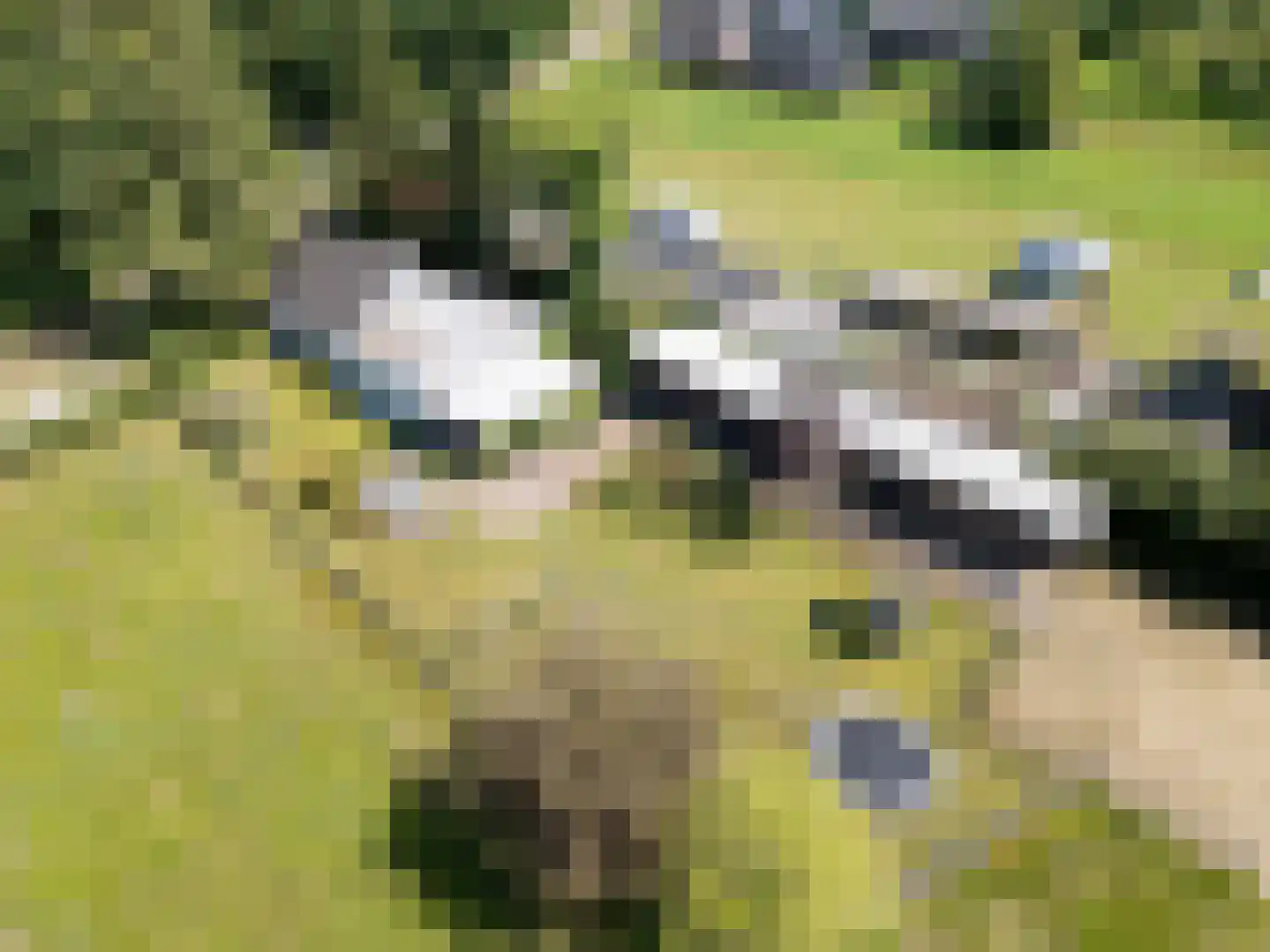 Achter het Kanaal 25 Emmen thumbnail 61