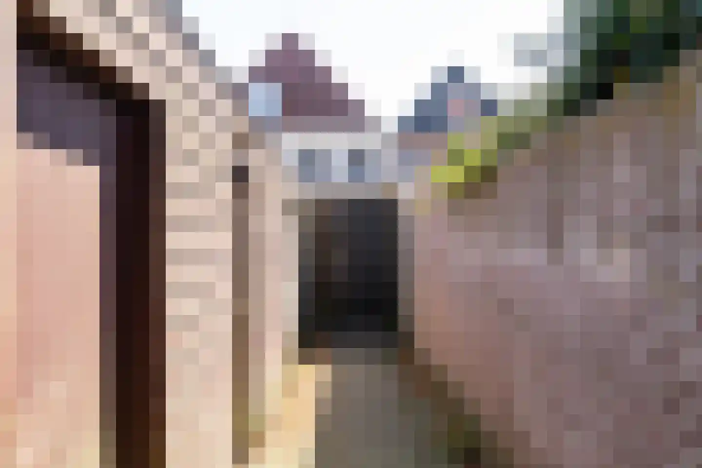 Achter het Oude Weeshuis 10 Amersfoort thumbnail 19