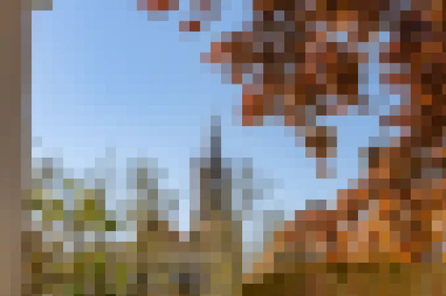 Achter het Oude Weeshuis 10 Amersfoort thumbnail 21