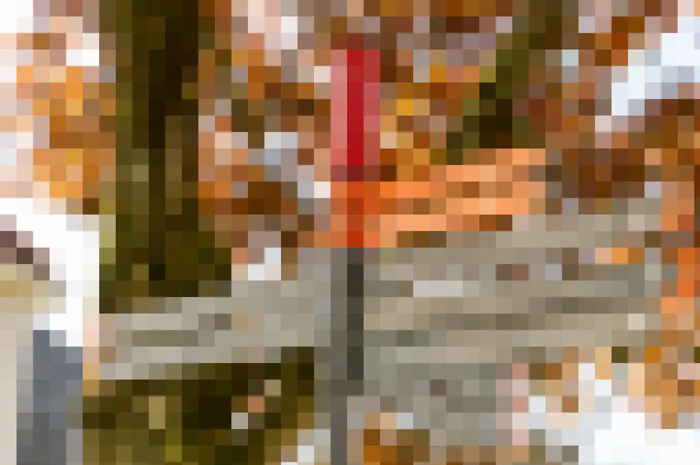 Achter het Oude Weeshuis 10 Amersfoort thumbnail 22