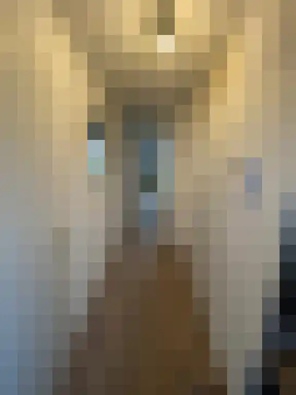 Achter het Plein 7 Wateringen thumbnail 5