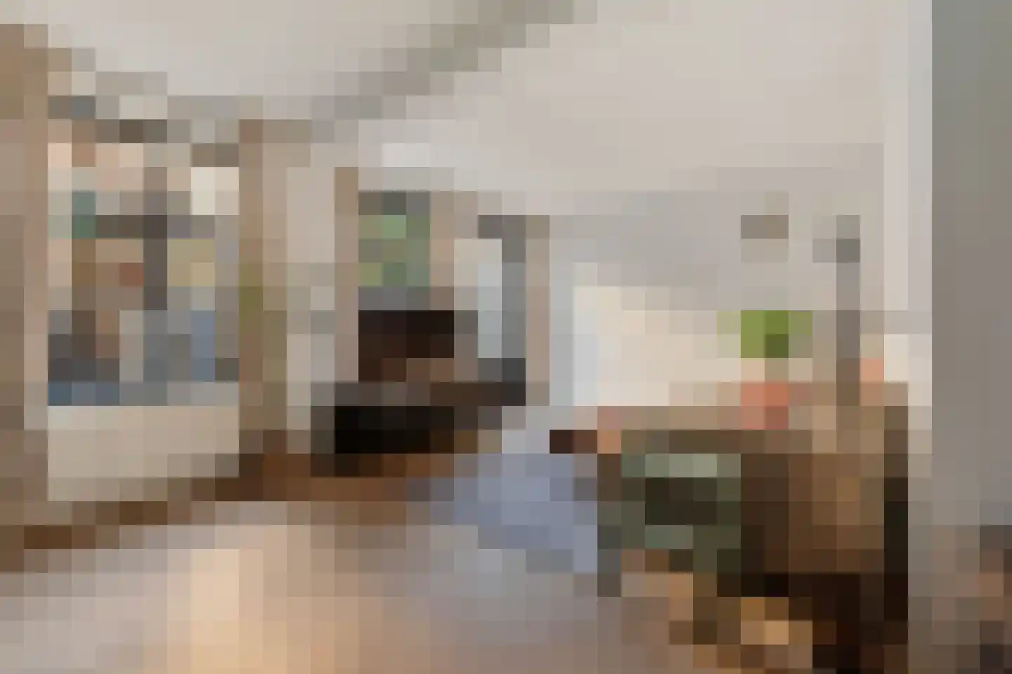 Achter het Schaapshoofd 15 's-Hertogenbosch thumbnail 13