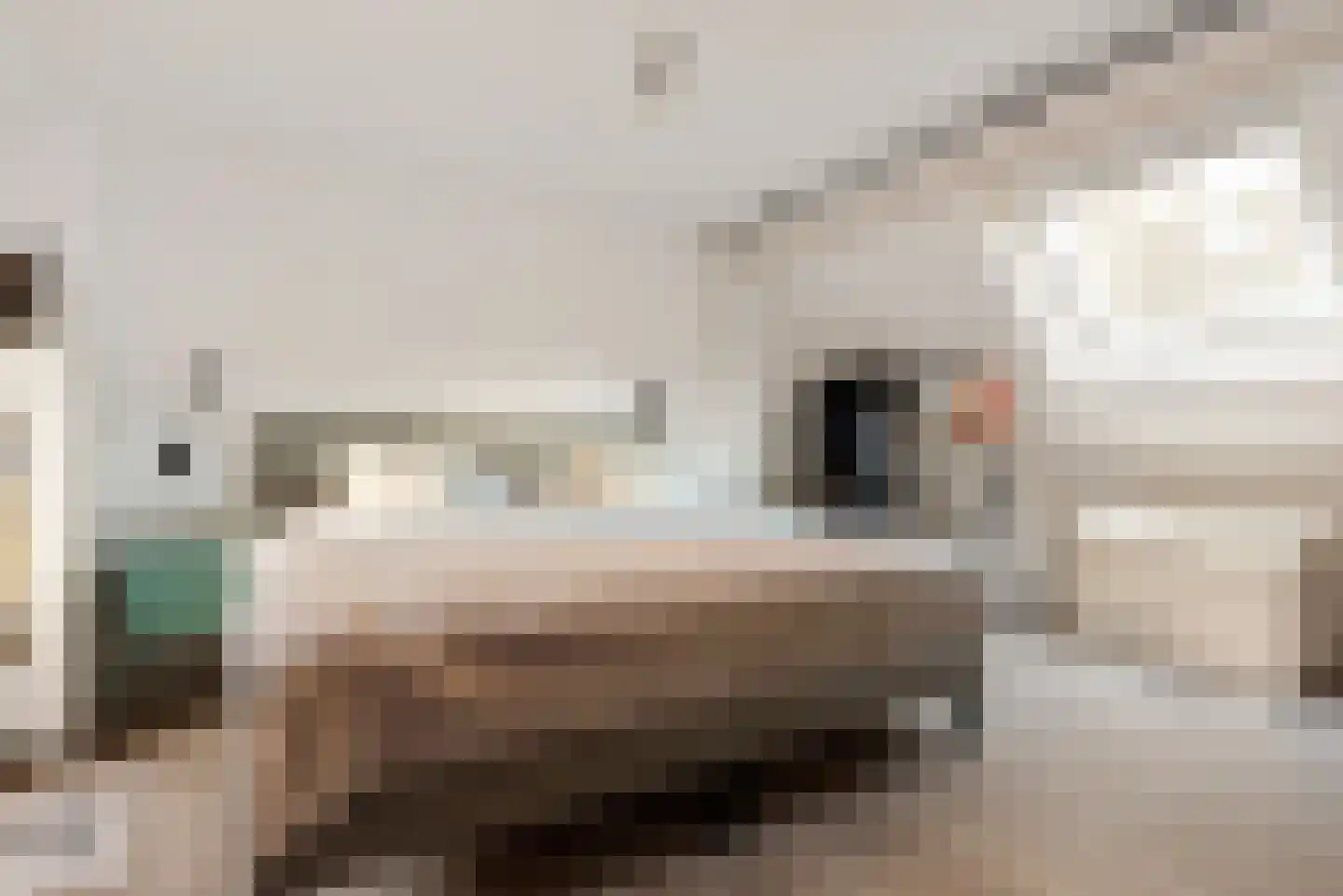 Achter het Schaapshoofd 15 's-Hertogenbosch thumbnail 20