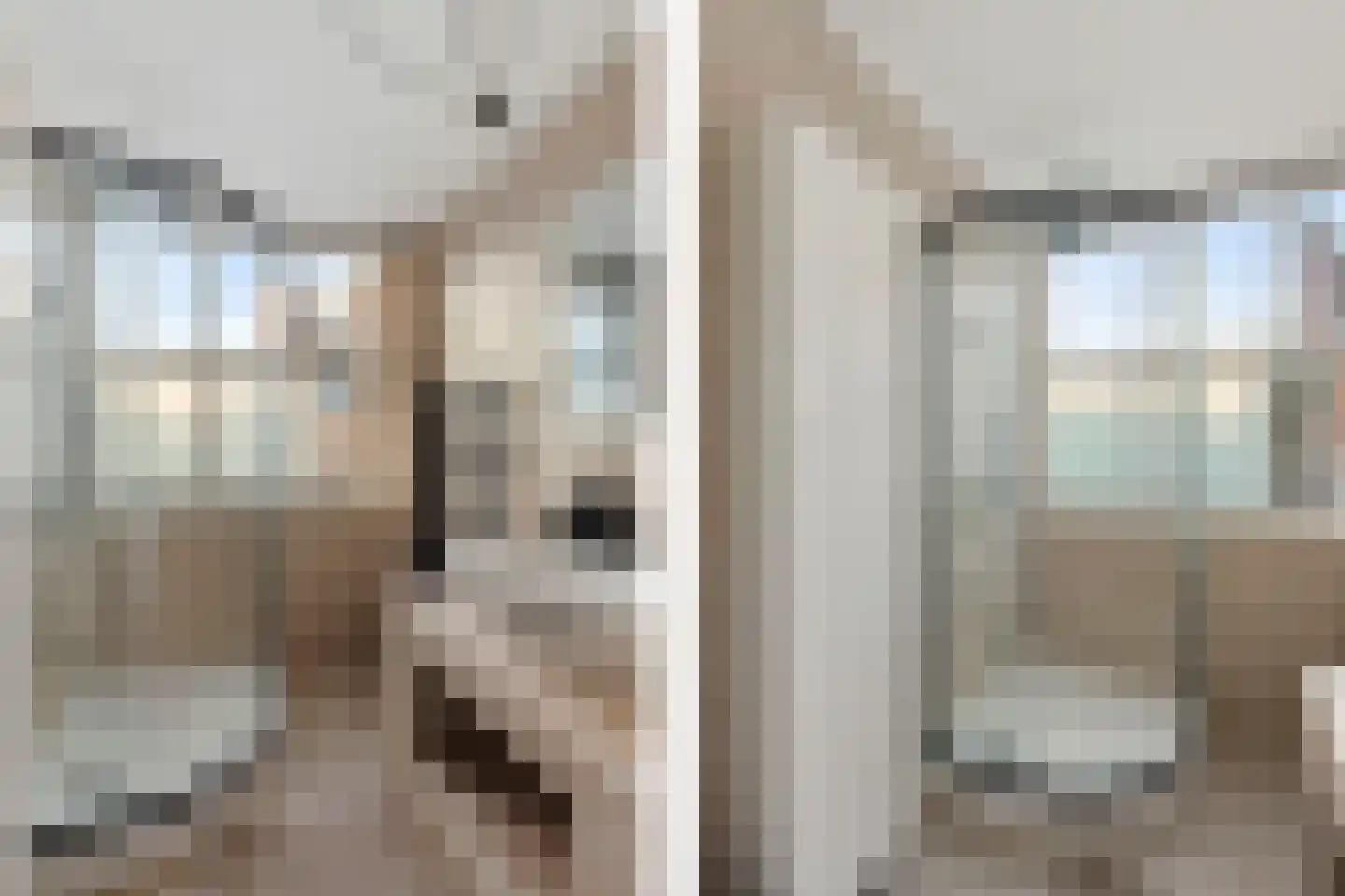 Achter het Schaapshoofd 15 's-Hertogenbosch thumbnail 26