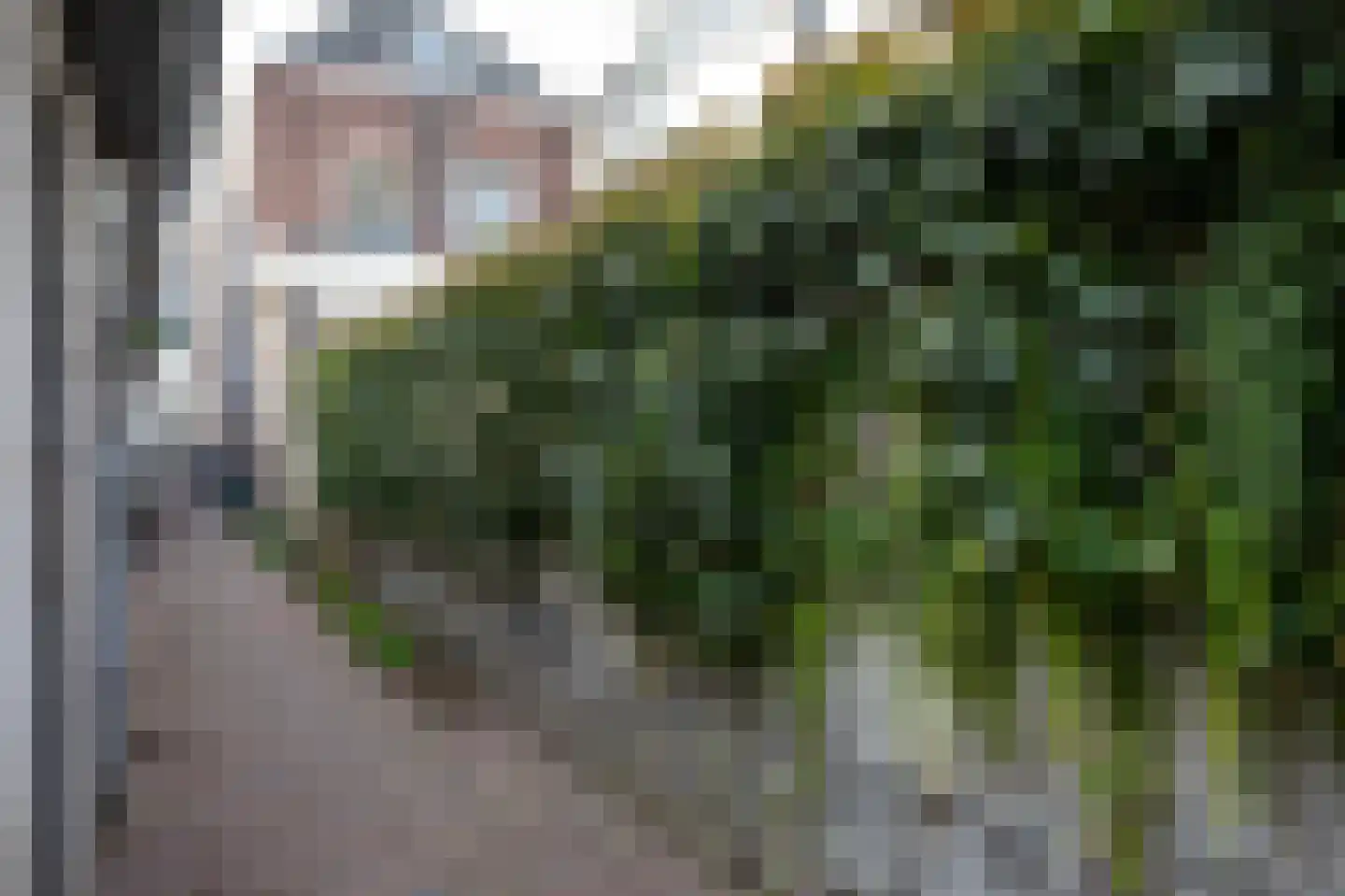 Achter het Schaapshoofd 15 's-Hertogenbosch thumbnail 31