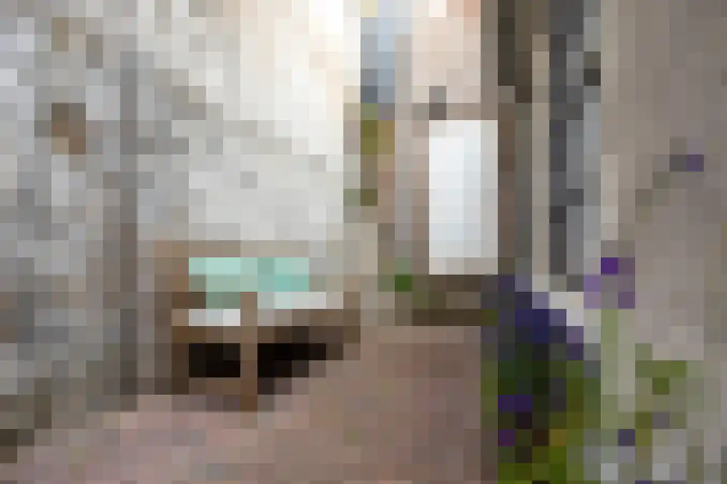 Achter het Schaapshoofd 15 's-Hertogenbosch thumbnail 32