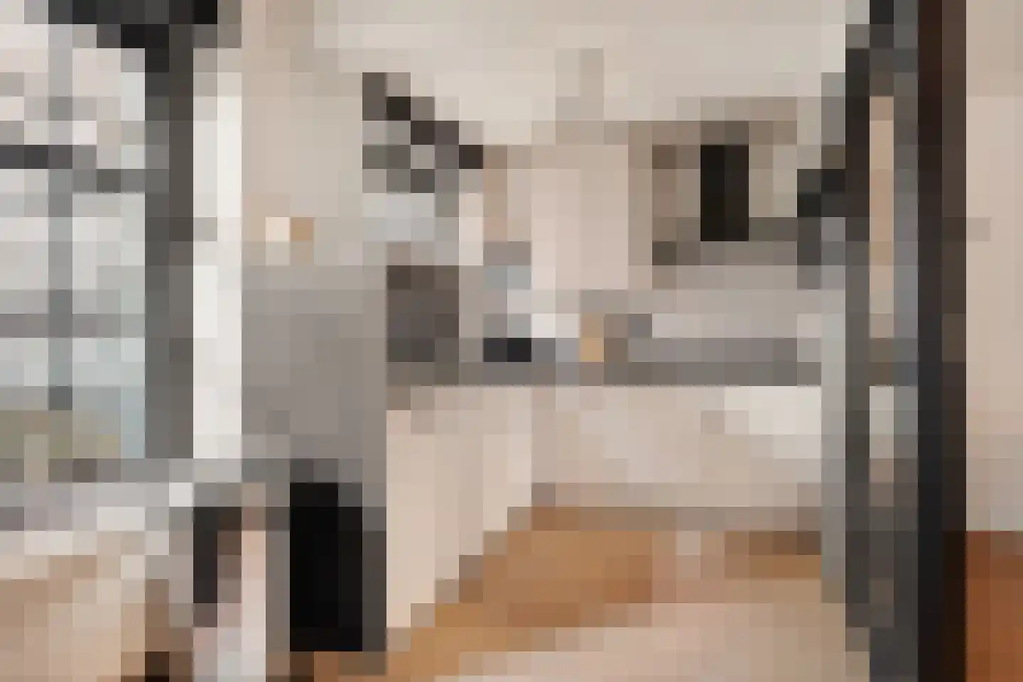 Achter het Schaapshoofd 15 's-Hertogenbosch thumbnail 7