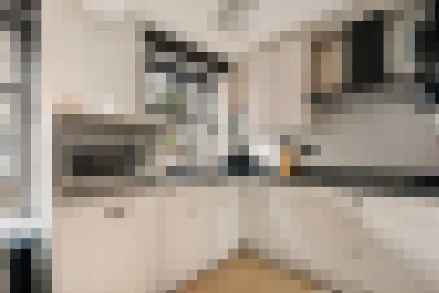 Achter het Schaapshoofd 15 's-Hertogenbosch thumbnail 8