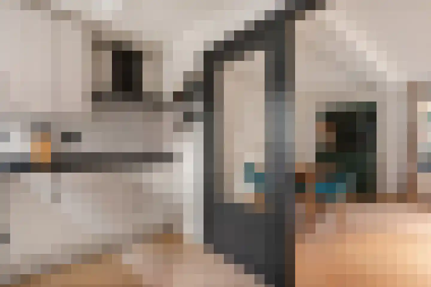 Achter het Schaapshoofd 15 's-Hertogenbosch thumbnail 9