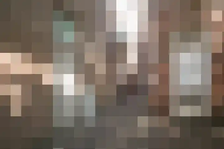 Achter het Stadhuis 20 A 's-Hertogenbosch thumbnail 28