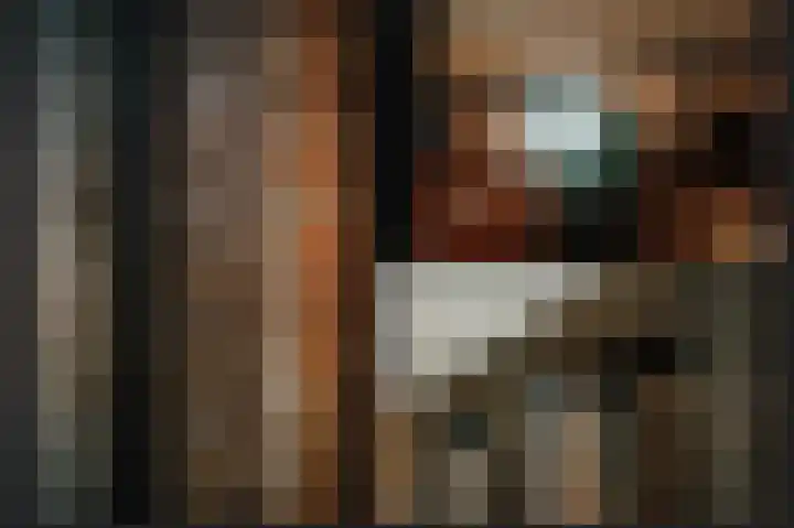 Achter het Stadhuis 20 A 's-Hertogenbosch thumbnail 6